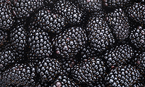 Blackberries