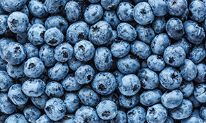 Blueberries