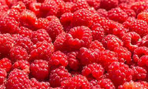 Raspberries